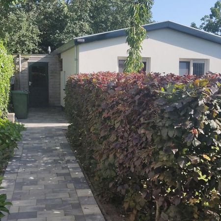 Vakantiebungalow Texel De Cocksdorp  Dış mekan fotoğraf