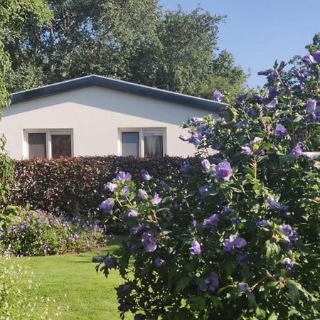 Vakantiebungalow Texel De Cocksdorp  Dış mekan fotoğraf
