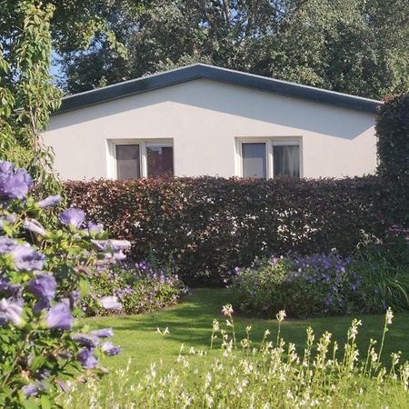 Vakantiebungalow Texel De Cocksdorp  Dış mekan fotoğraf