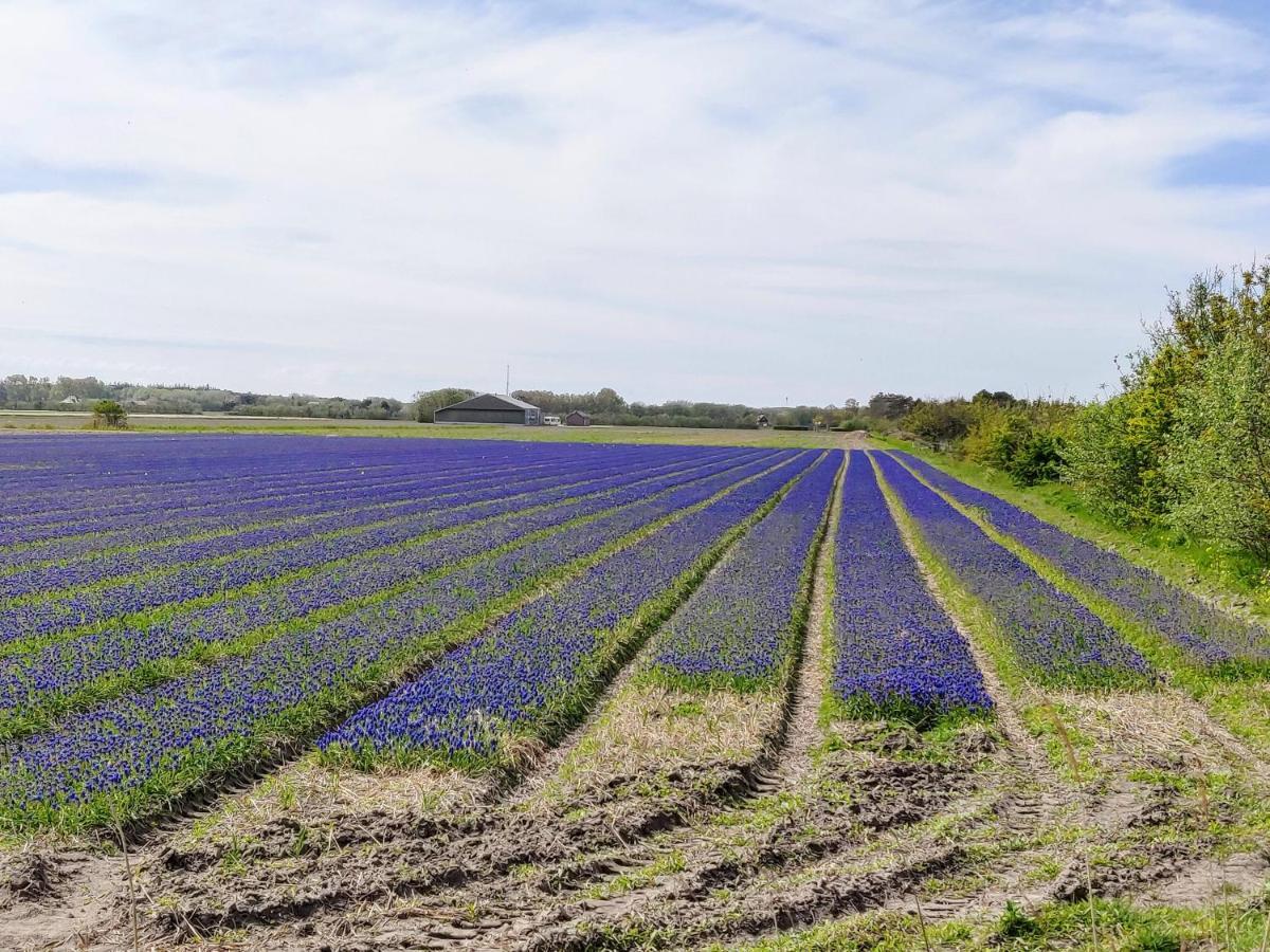 Vakantiebungalow Texel De Cocksdorp  Dış mekan fotoğraf