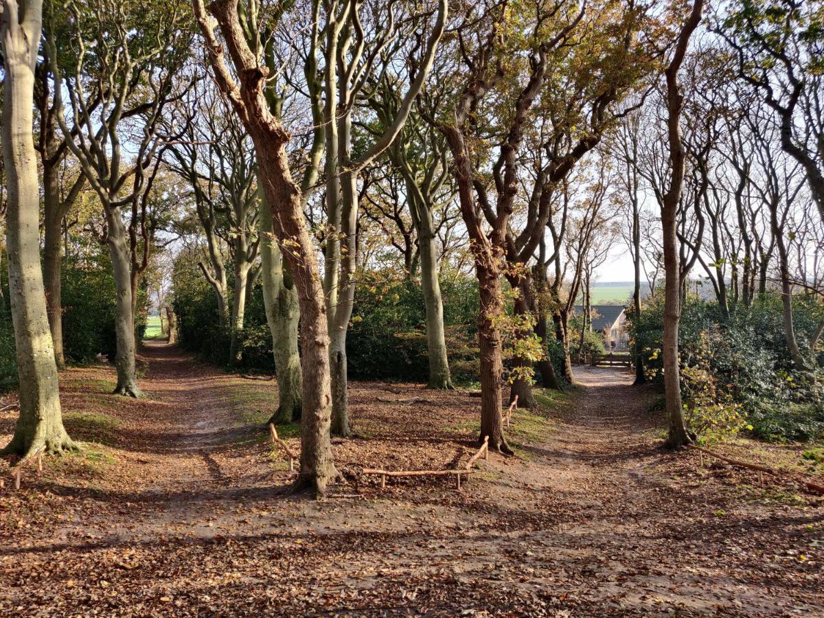 Vakantiebungalow Texel De Cocksdorp  Dış mekan fotoğraf