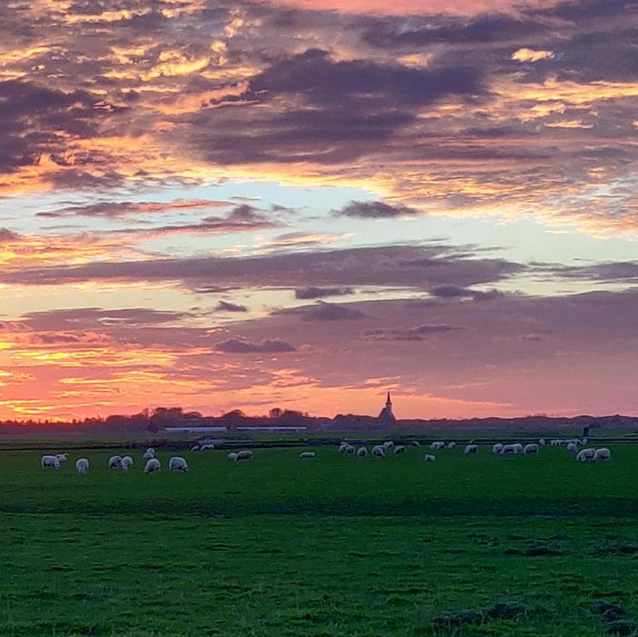 Vakantiebungalow Texel De Cocksdorp  Dış mekan fotoğraf