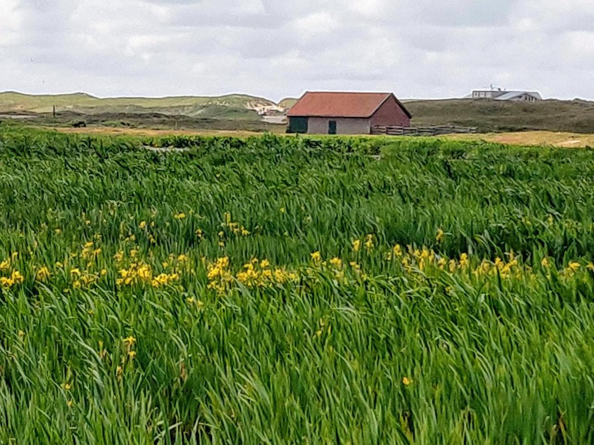 Vakantiebungalow Texel De Cocksdorp  Dış mekan fotoğraf