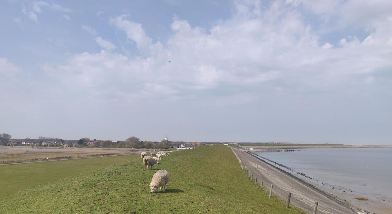 Vakantiebungalow Texel De Cocksdorp  Dış mekan fotoğraf
