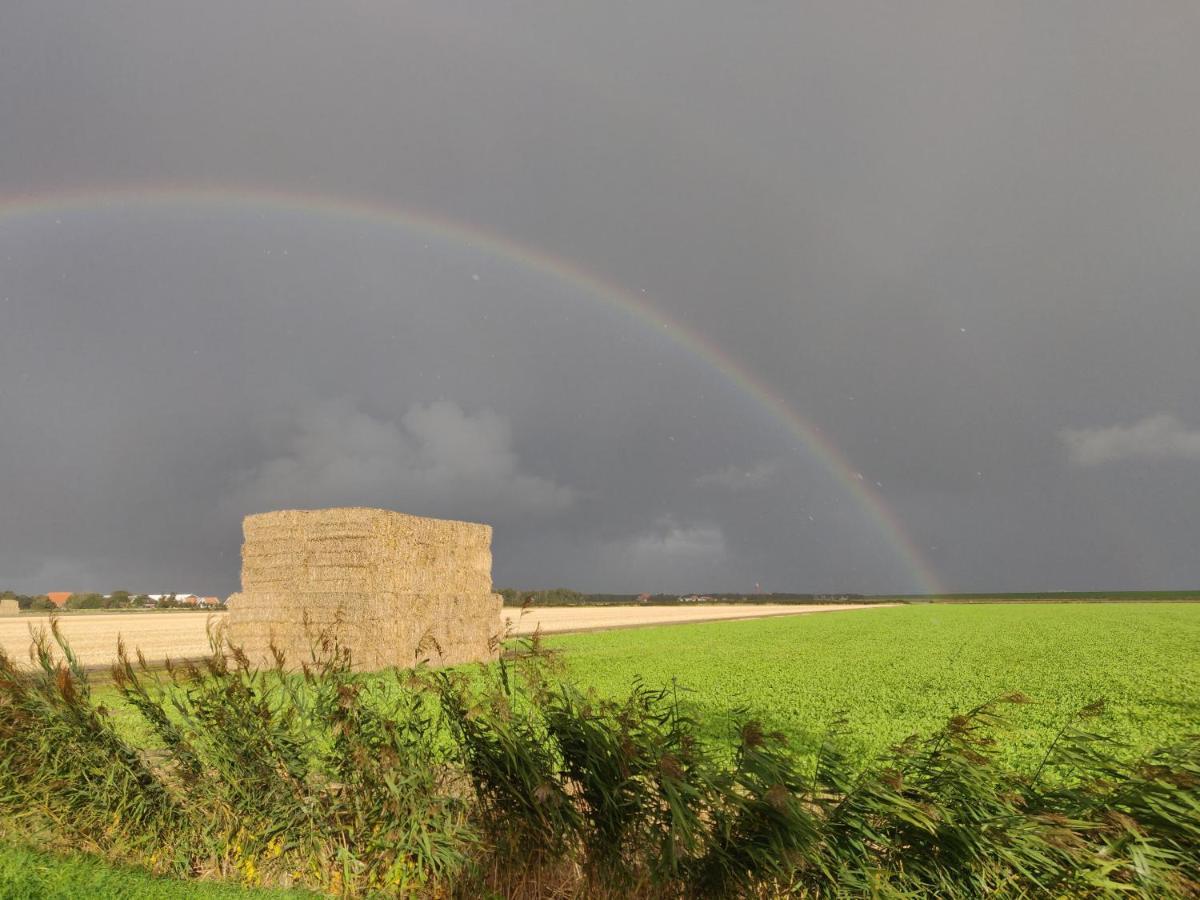 Vakantiebungalow Texel De Cocksdorp  Dış mekan fotoğraf
