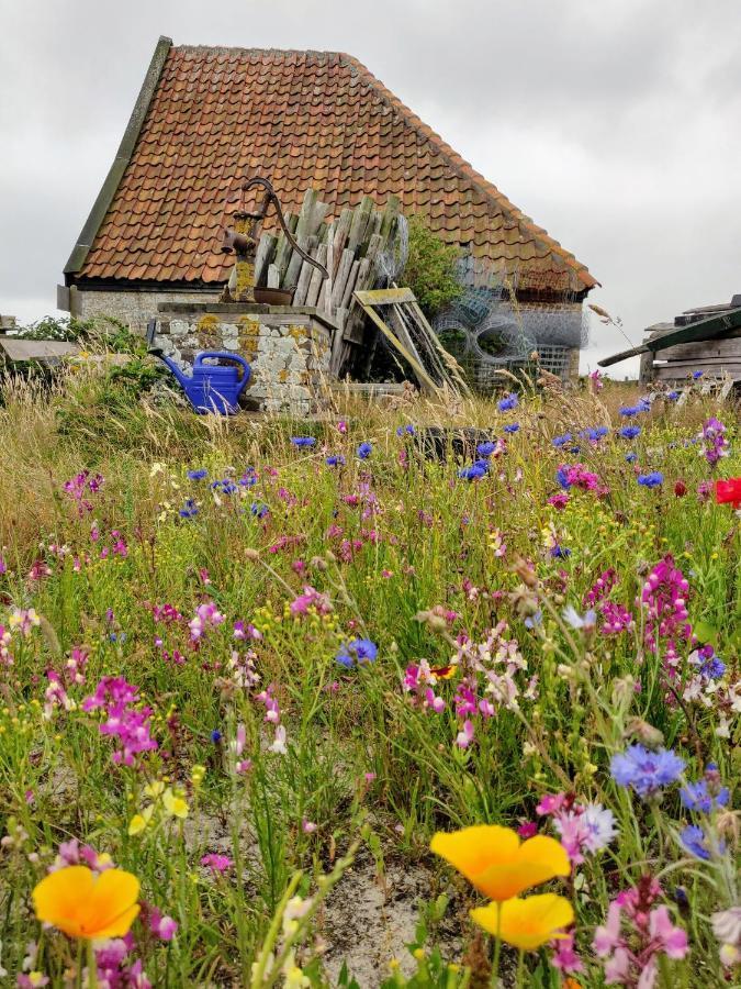 Vakantiebungalow Texel De Cocksdorp  Dış mekan fotoğraf