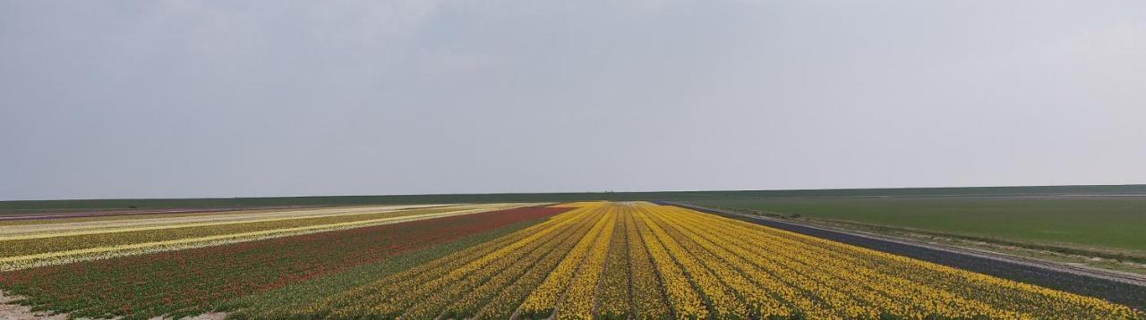 Vakantiebungalow Texel De Cocksdorp  Dış mekan fotoğraf